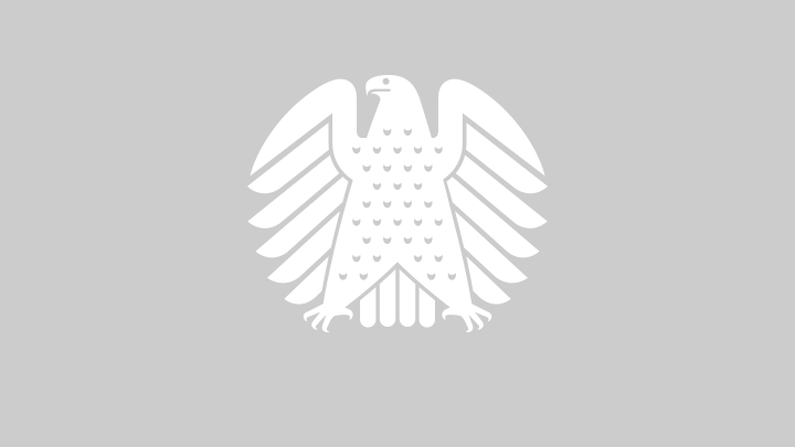 Logo der Gruppe Die Linke im Bundestag